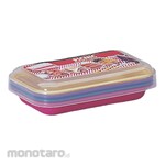 Lion Star Picnic Plate Set