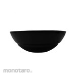 Luminarc Opal Dinnerware Alexie Salad Bow