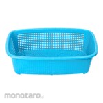 Neoplas Tempat Sendok Oval