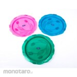 Lucky Star Nampan Orchid