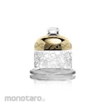 Glasstar Basic Coaster Dome