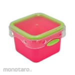 Hawaii Novara Wadah Kotak