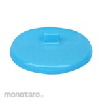 Golden Hen Glass Cover