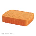 Lion Star Snack Case