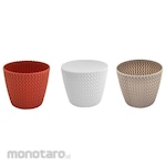 Green Leaf Pot Bunga Hias Fuji