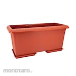 Green Leaf Pot Bunga Marigold