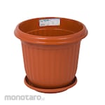 Green Leaf Pot Tanaman Primrose