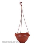 Lion Star Florina Flower Pot