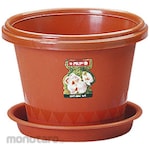 Lion Star Pot Bunga Seri Orchid