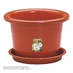 Lion Star Pot Bunga Seri Tulip