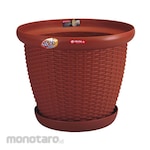 Lion Star Rattan Pot