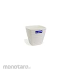 Lucky Star Pot Bunga Aeris