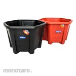 Lucky Star Pot Bunga Camelia 33