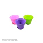 Lucky Star Pot Bunga Chrysan Deluxe