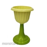 Lucky Star Pot Bunga Kaki Tulip
