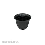 Lucky Star Pot Bunga Lavender