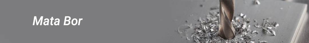 Mata Bor