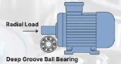 Radial Load Diagram